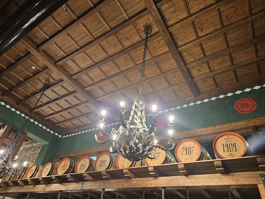 Matteo Oltolina_Wiener Haus Caronno_Caronno Pertusella_review