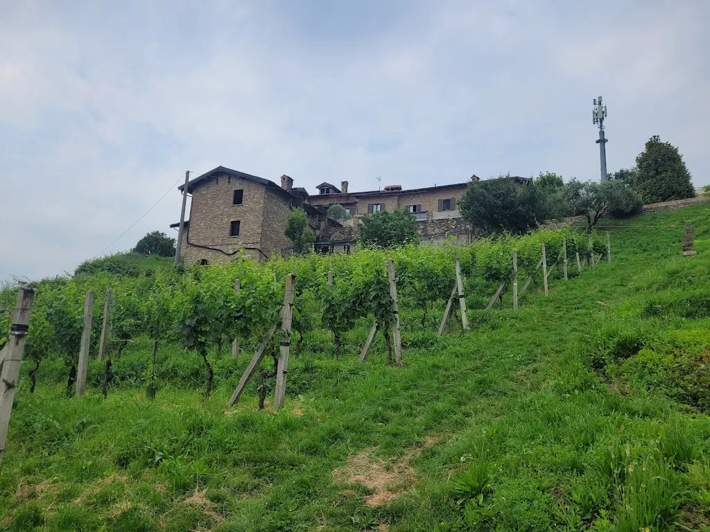 gianmaria Lenzo_Cascina Rigurida_Carvico_review