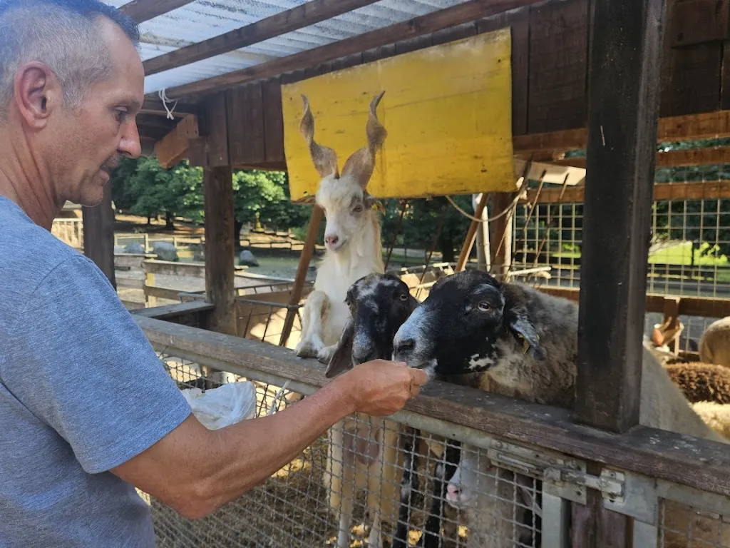 Alison Vai_Agriturismo Fattoria Pasqué_Casale Litta_review