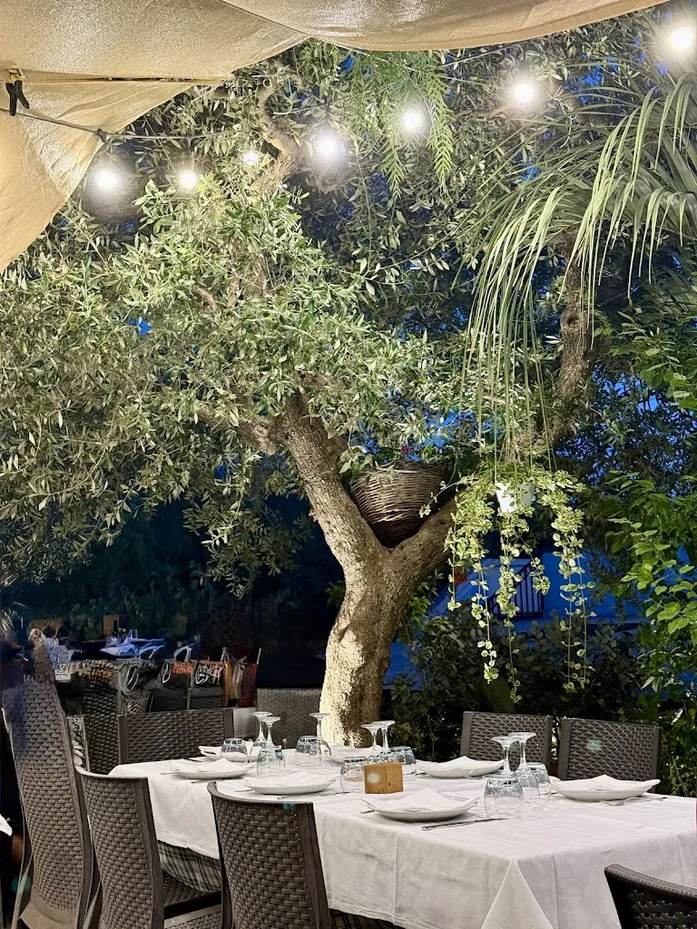 Ristorante Gli Ulivi_Alberobello_slider_image_3