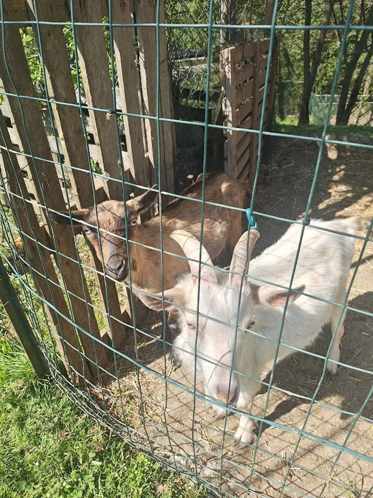 Cristina Brandi_Agriturismo La Tavola di Cherubino_Casatenovo_review