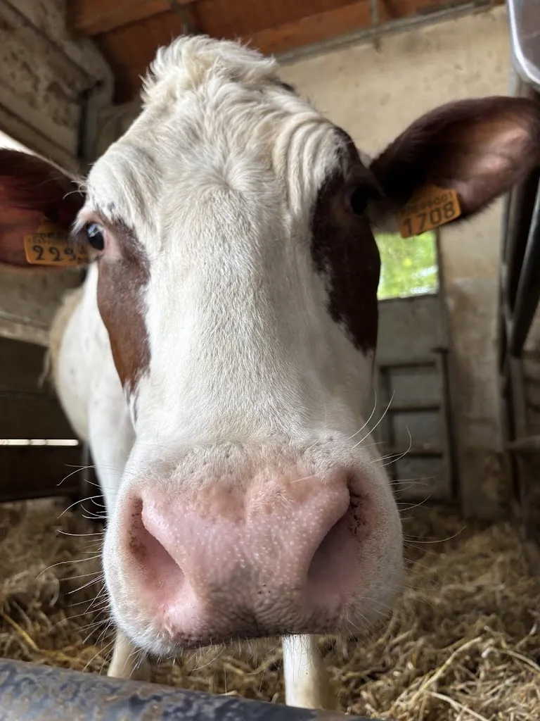 Paola Cavalletto_Agriturismo La Tavola di Cherubino_Casatenovo_review