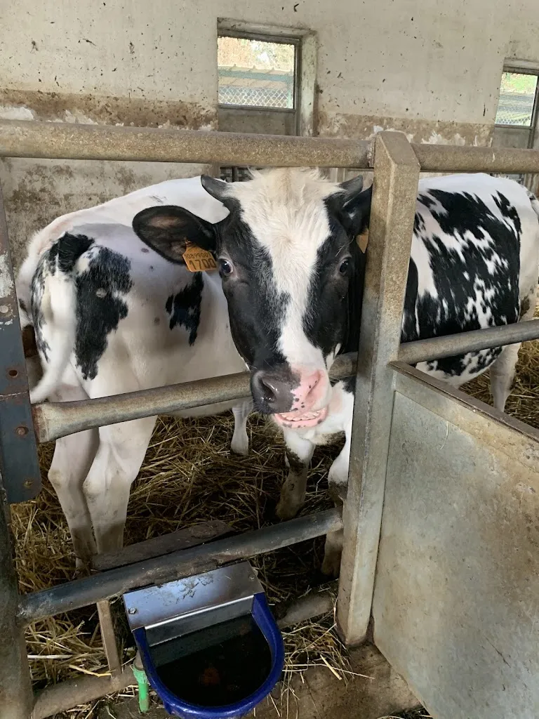 Davide Carenza_Agriturismo La Tavola di Cherubino_Casatenovo_review