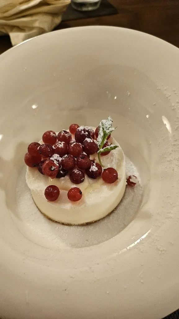 Adam Bradshaw_Navigliaccio_Casarile_review