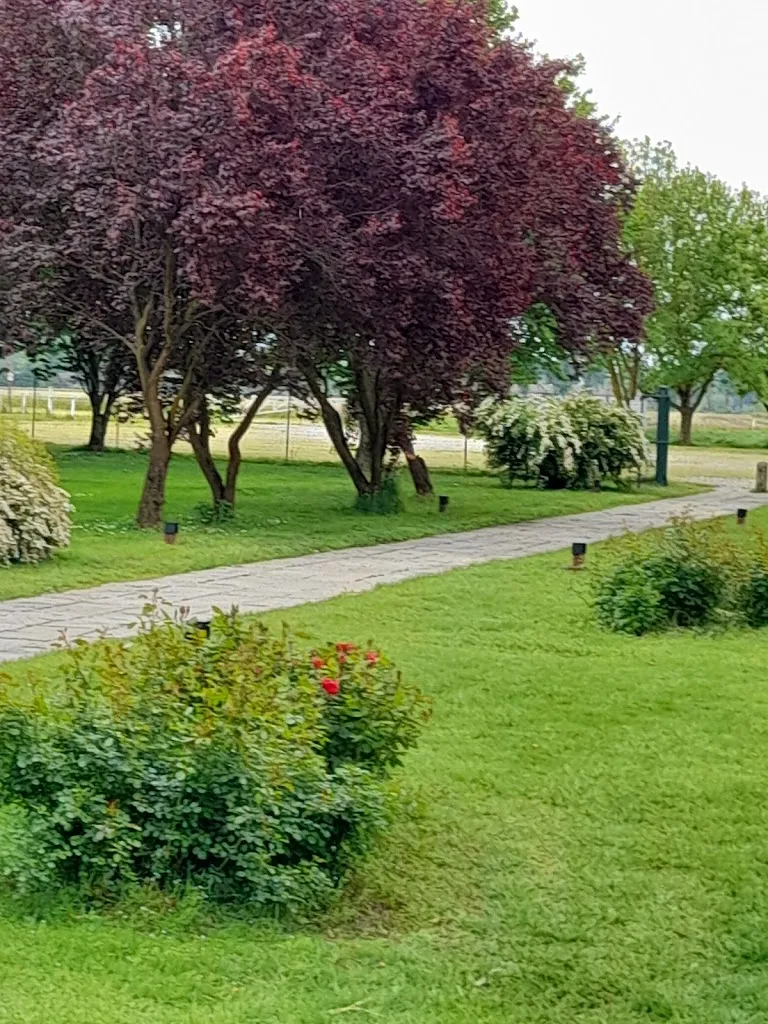 Giovanna B._Agriturismo il Mulino - il sapore autentico della campagna_Casarile_review