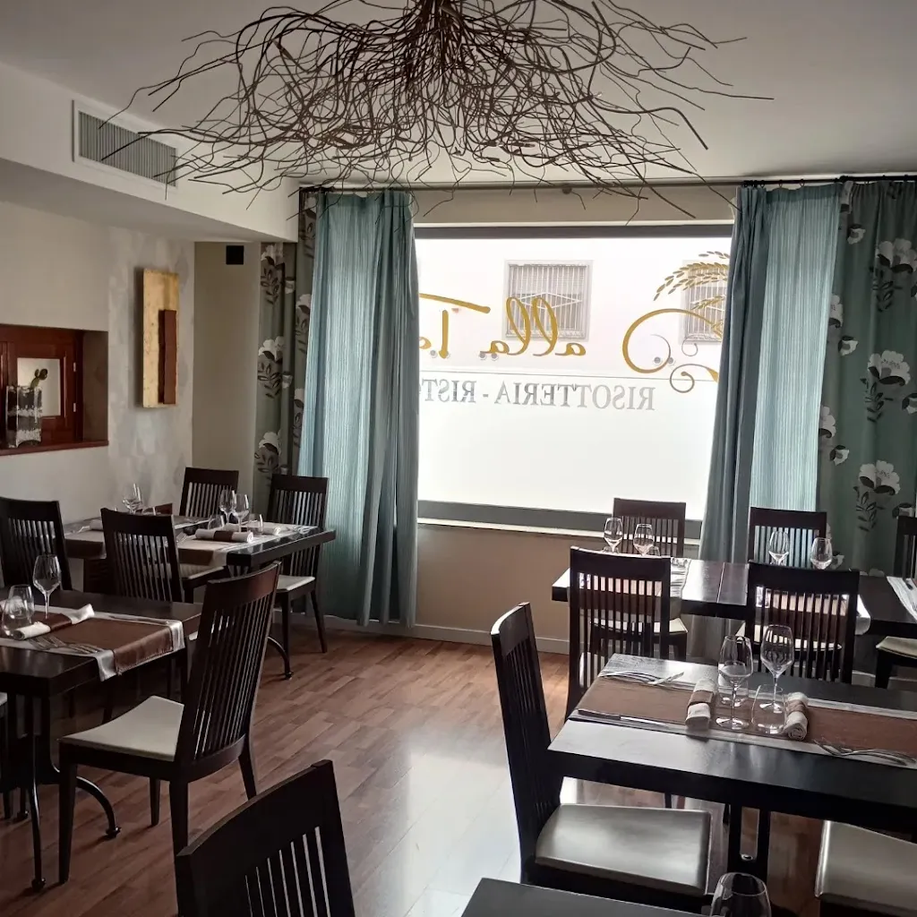 Risotteria alla Torre_Casalpusterlengo_slider_image_1