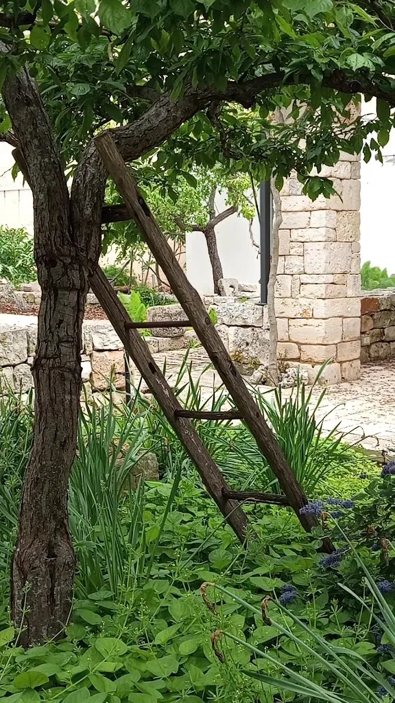 EVO Ristorante_Alberobello_slider_image_2