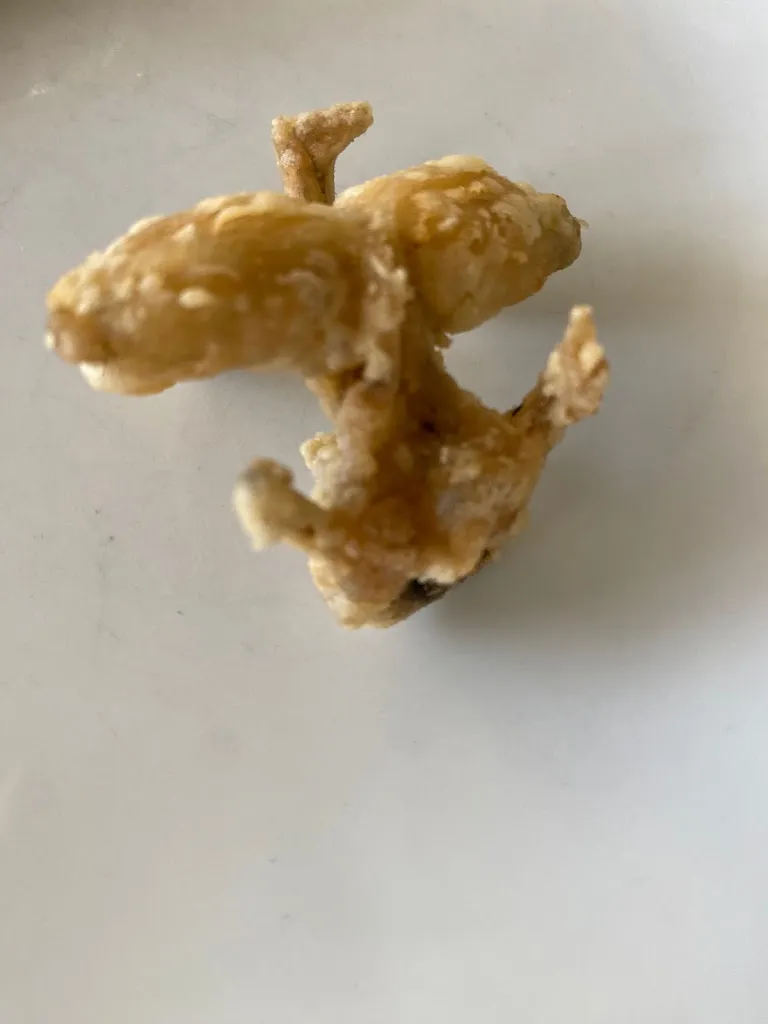 Menu_Ristorante Cantarana_Cassano d'Adda_image_3