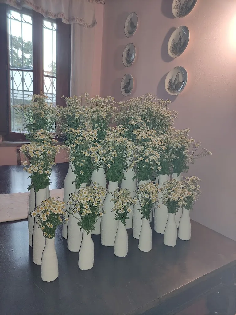 Simona Mandalà_Agriturismo Corte Boaria Bassa Castel D'Ario_Castel d'Ario_review