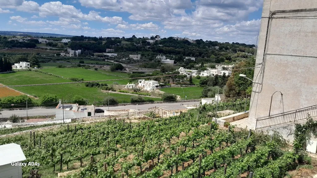 michel chadoin_Alberobello_Alberobello_review