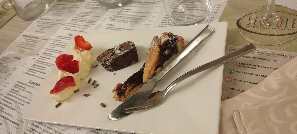 Davide Borgh_Ristorante Pizzeria Selvole | Castel Goffredo_Castel Goffredo_review