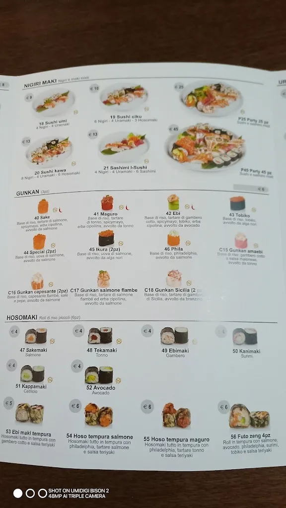 Menu_Lin Japanese Restaurant Castel Goffredo_Castel Goffredo_image_4