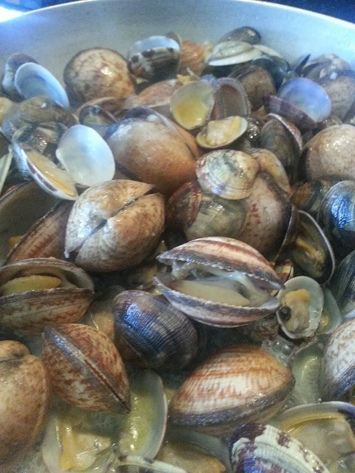 Menu_Antichi sapori Ristorante da Laura - Da martedì a sabato aperto tutte le sere su prenotazione_Castel Goffredo_image_7