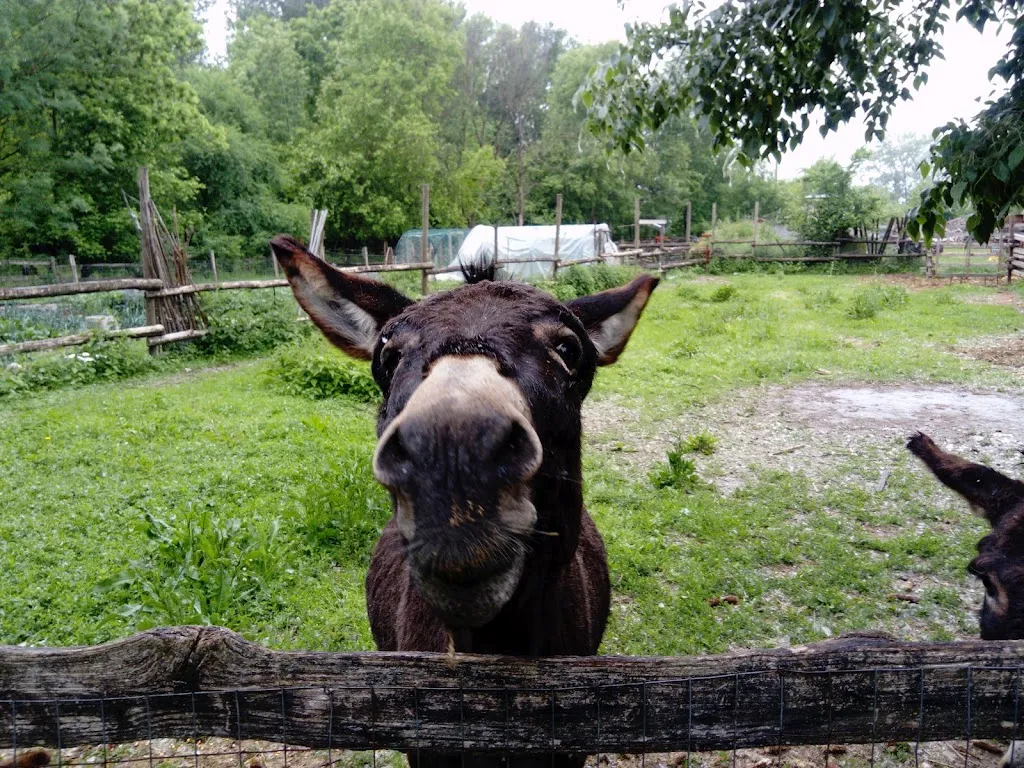 Cascina Sguazzarina_Castel Goffredo_slider_image_3