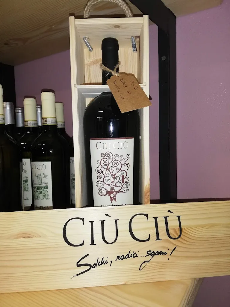 Menu_Enobottega Viola_Casteldidone_immagine_6