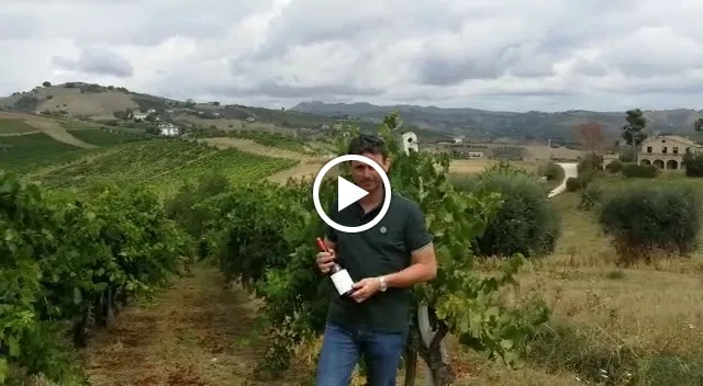 Enobottega Viola_Casteldidone_slider_image_2