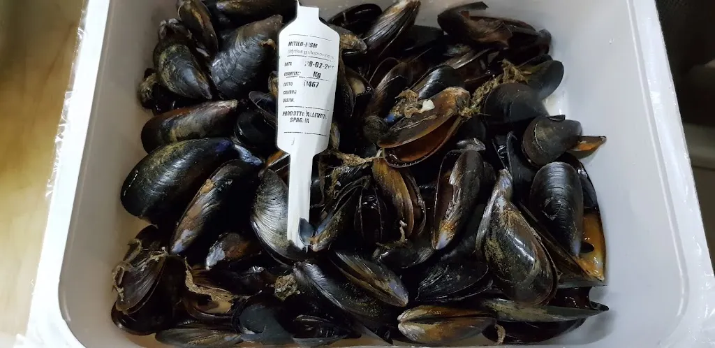 Menu_Ristorante Pizzeria PERLA_Castel Mella_image_2