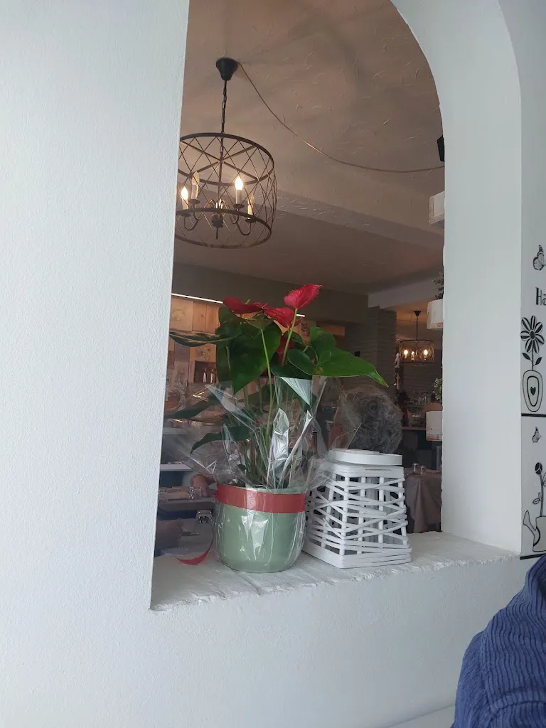 GIUAN FIGIN_L'aristogatto_Castelleone_review