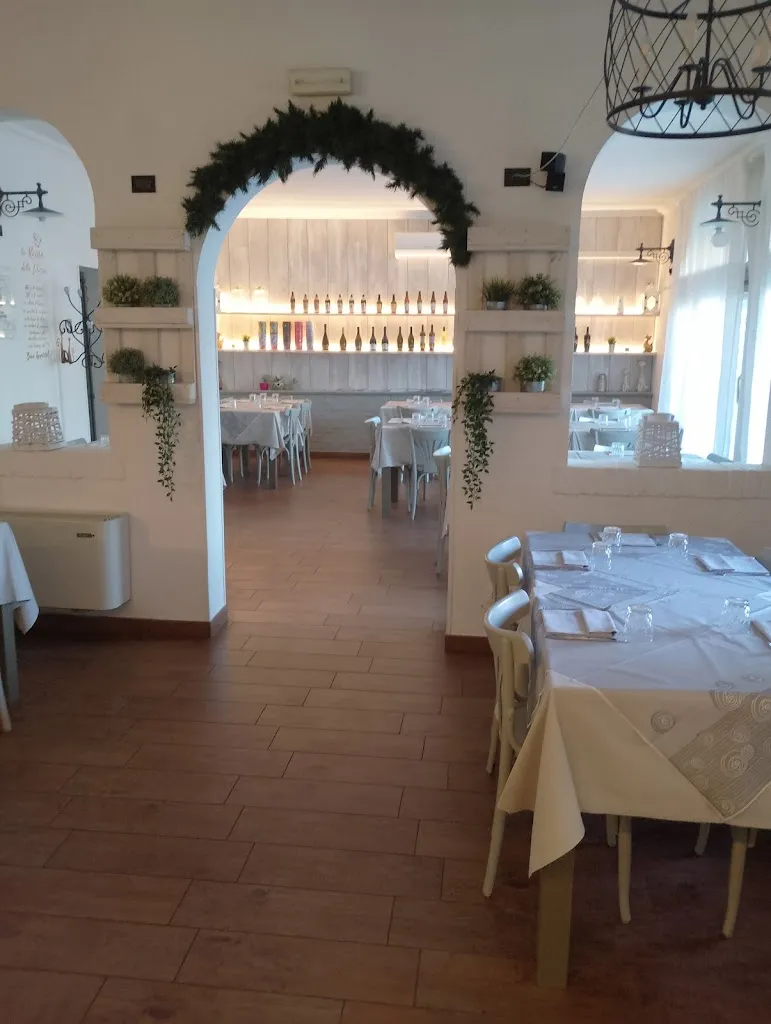 L'aristogatto_Castelleone_slider_image_2