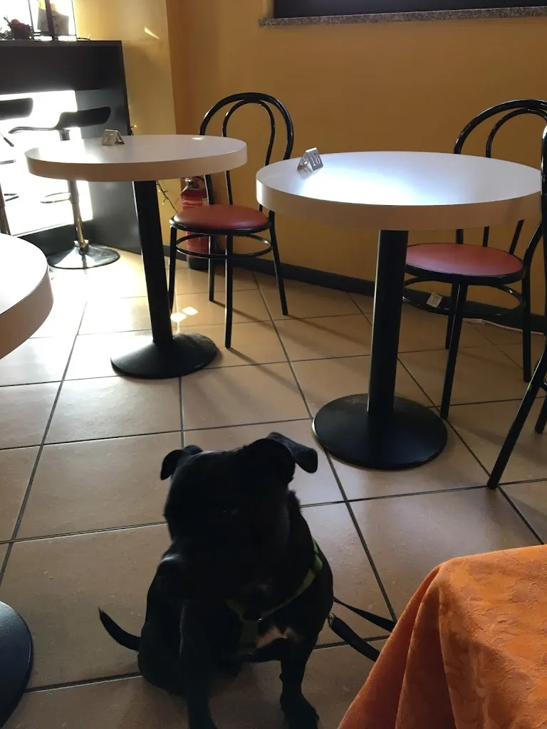 alice marchetti_Fennec Bar & Tavola calda_Castelleone_recensione