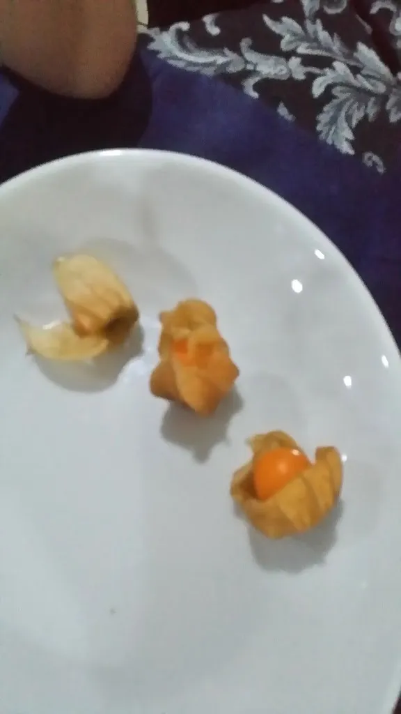 Menu_Ristorante Pizzeria Del Seprio_Castelseprio_image_3