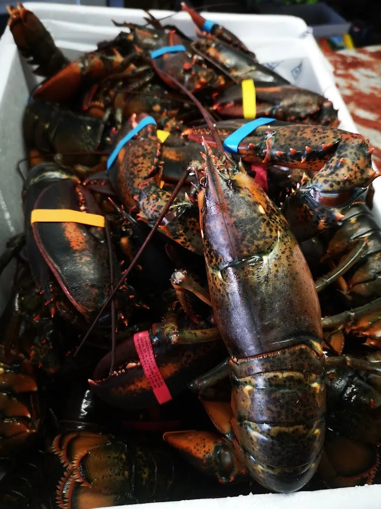 Menu_Teo Bar_Castiglione d'Adda_image_5