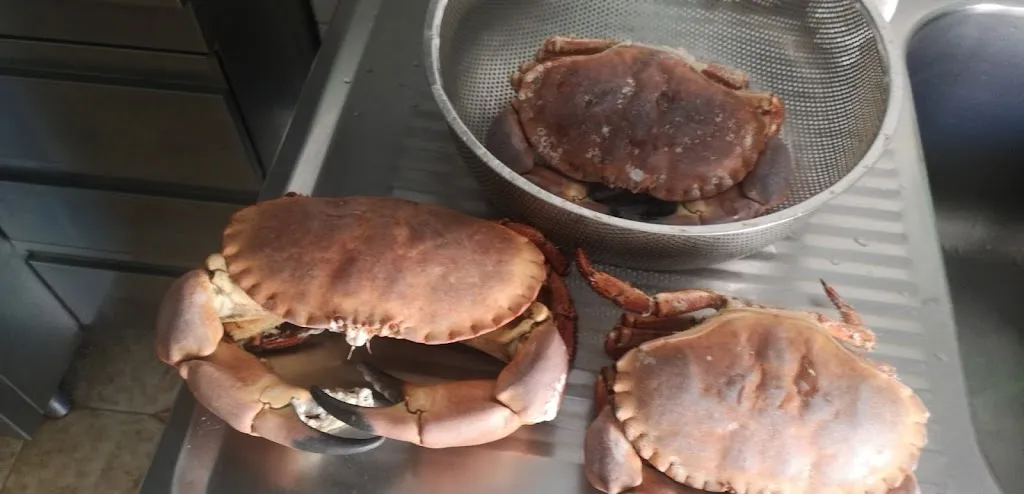 Menu_Teo Bar_Castiglione d'Adda_image_8