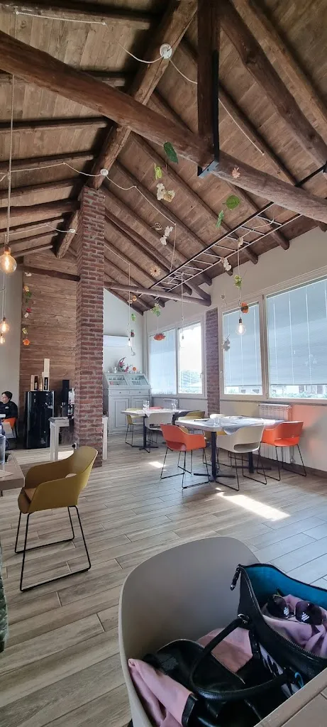 Fabrizio Pozzo_DADONA_Castiglione Olona_review