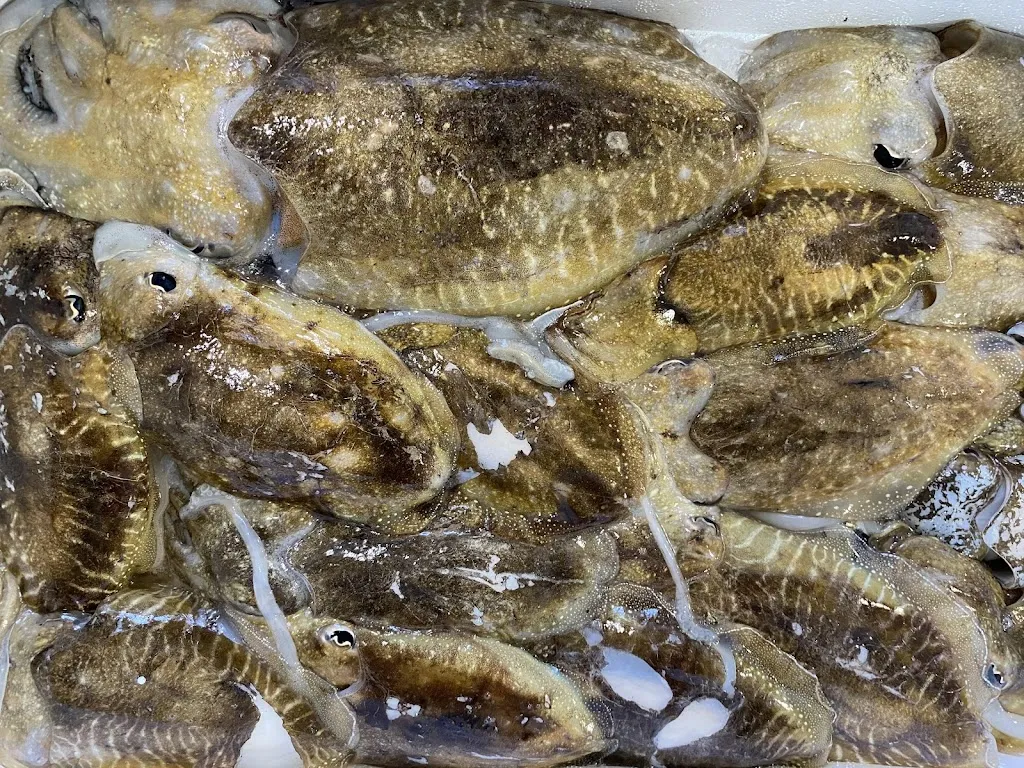 I Malampi_Alezio_slider_image_3