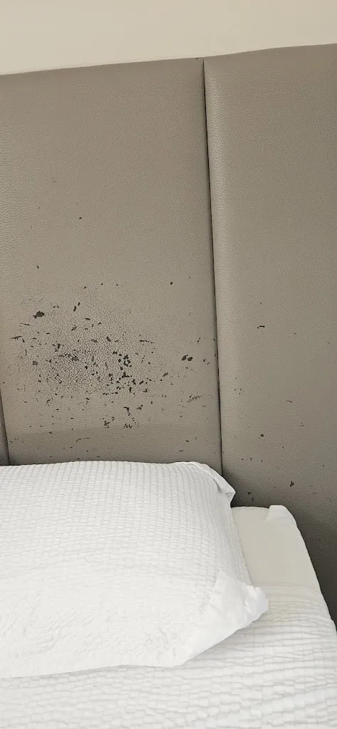 Oxygen abdo_Hotel Ferretti Majestic House_Castenedolo_review