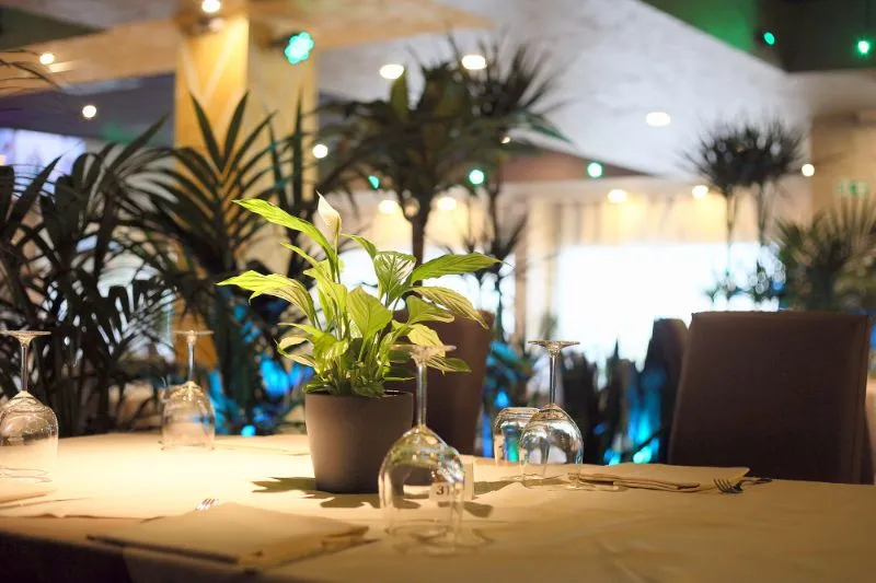 Moonlight Restaurant restaurant in Castenedolo