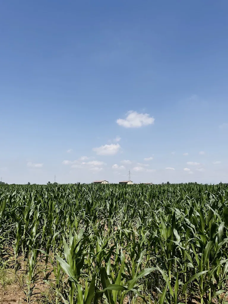 Olga Dimenshtein_La Colombera_Castrezzato_review