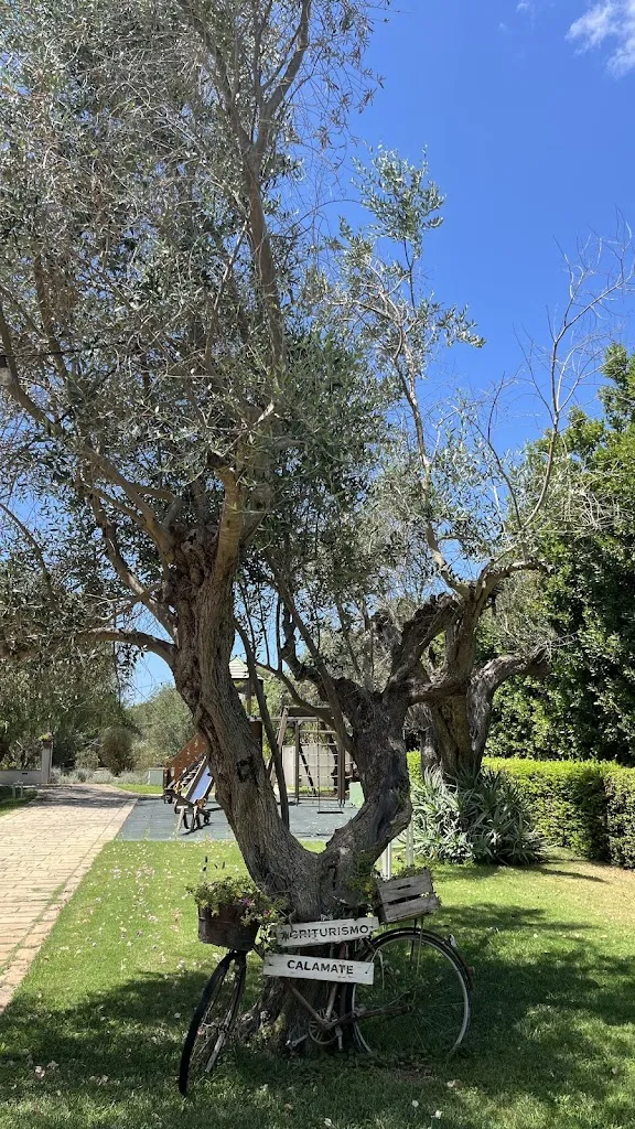 Catalina Dascalu_Ristorante Agriturismo Calamate_Alezio_review