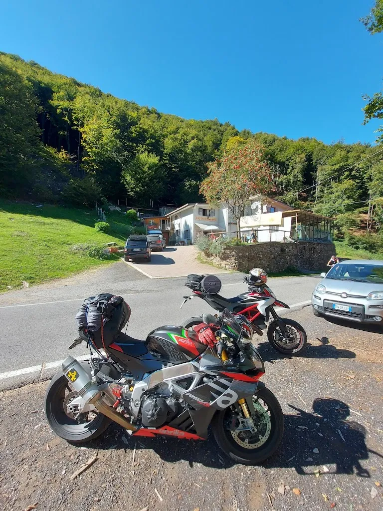 Luca Mazzucco_Crotto Funghetto Cava_Cavargna_review