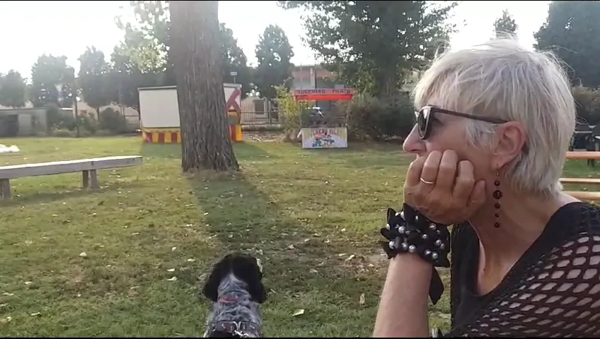 Cavenago Summer Festival restaurant in Cavenago d'Adda