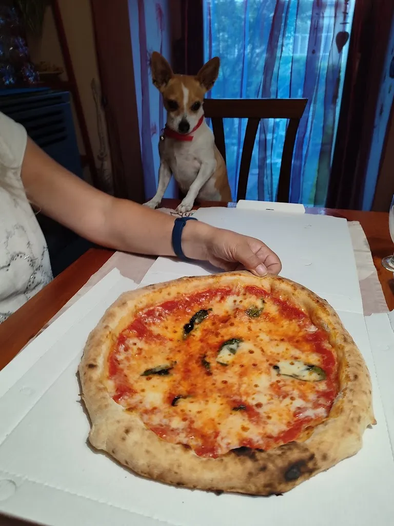 Luca Colombo_Pizzeria 4 Stagioni CAVARIA_Cavaria Con Premezzo_review