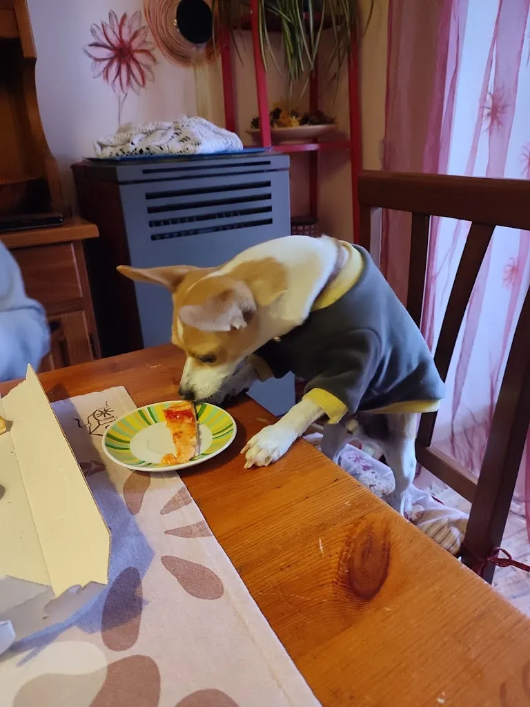 Susanna Biesso_Pizzeria 4 Stagioni CAVARIA_Cavaria Con Premezzo_review