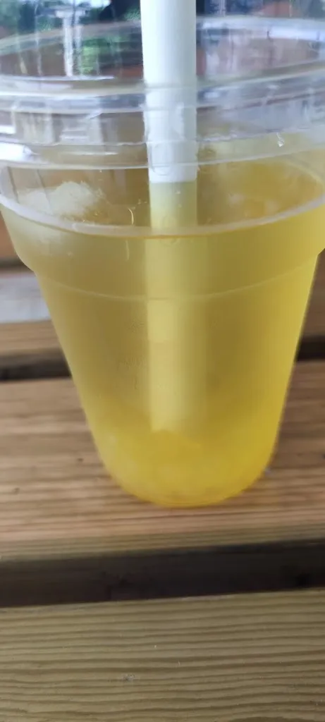 Menu_Melomangio_Cazzago Brabbia_image_6