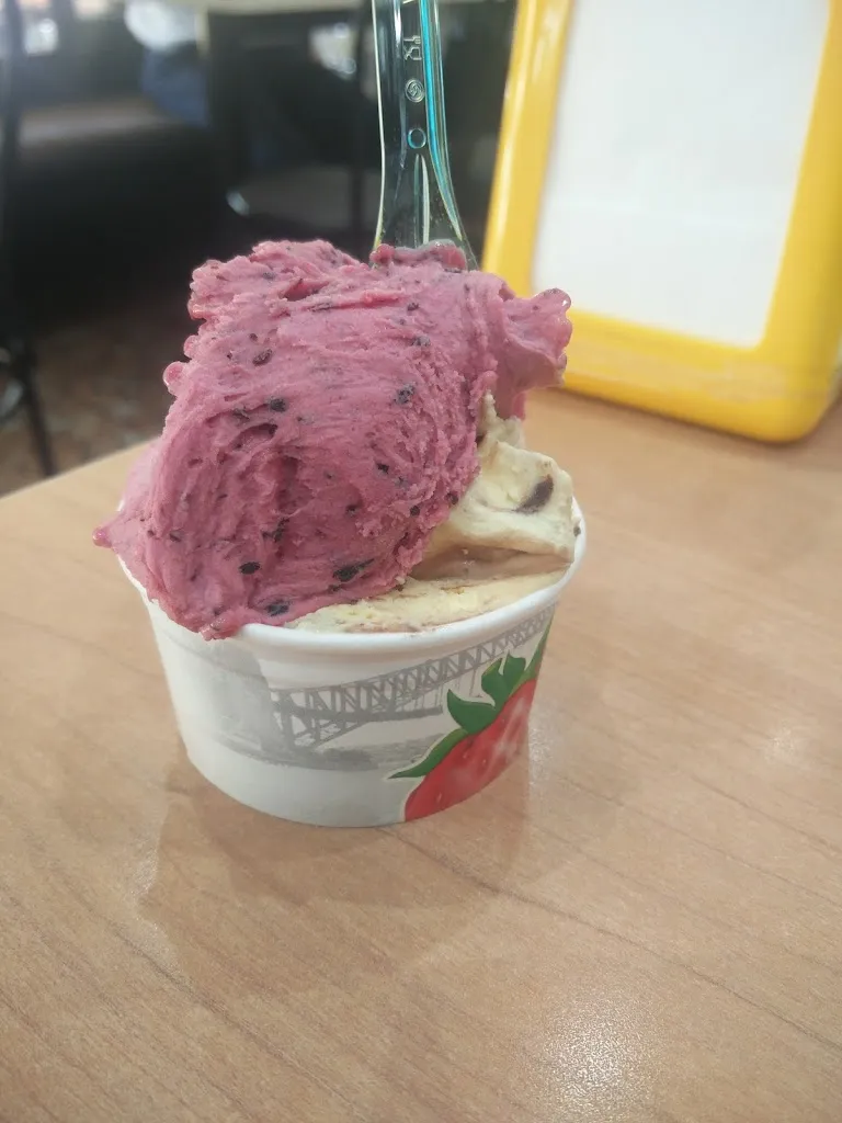 Menu_Melomangio_Cazzago Brabbia_image_8