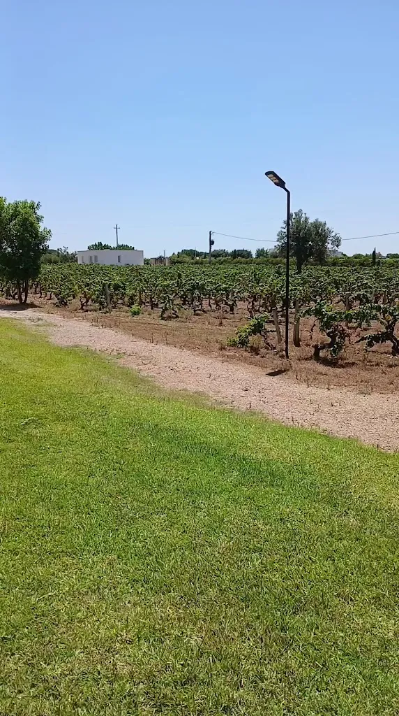 Duane's Mind_Tenuta Rocci Cerasoli & Il Torrino Restaurant_Alezio_review