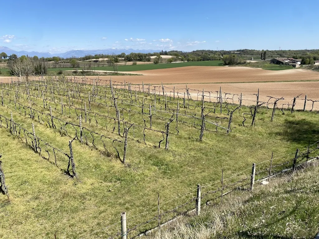 Honglei Bao_Ristorante La Baita - NUOVE APERTURE ESTIVE!_Cavriana_review