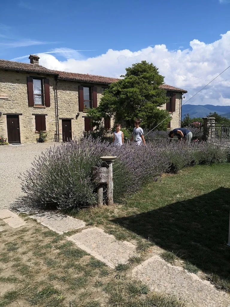 Marco S _Ca' del Monte Resort_Cecima_review