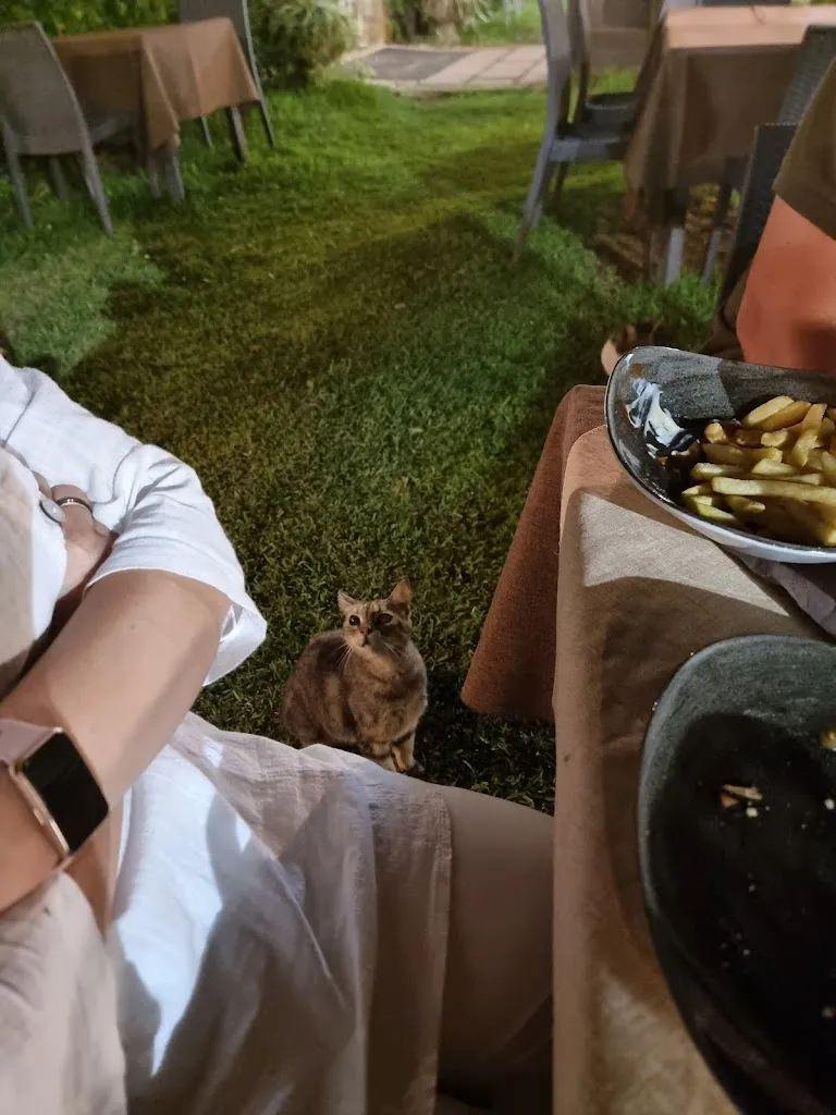 Natalia W_Ristorante Pizzeria Carpe Diem_Andrano_review