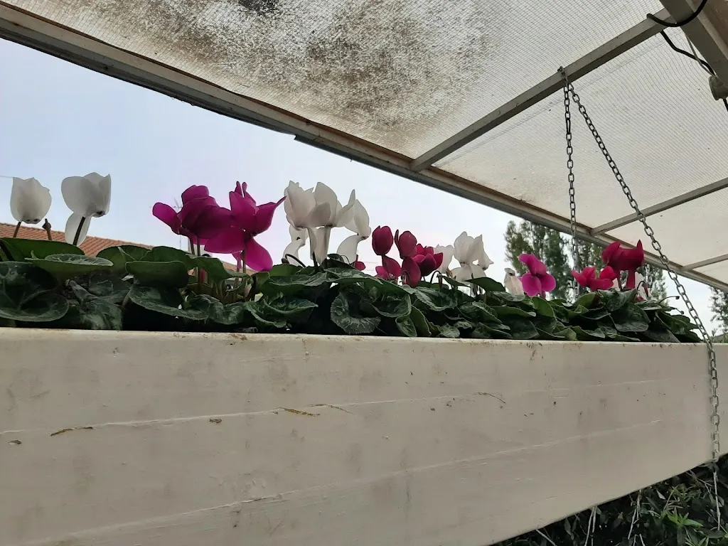 Herri restaurant in Cerro al Lambro