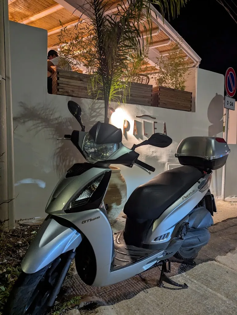 Enda McNally_Palea_Andrano_review