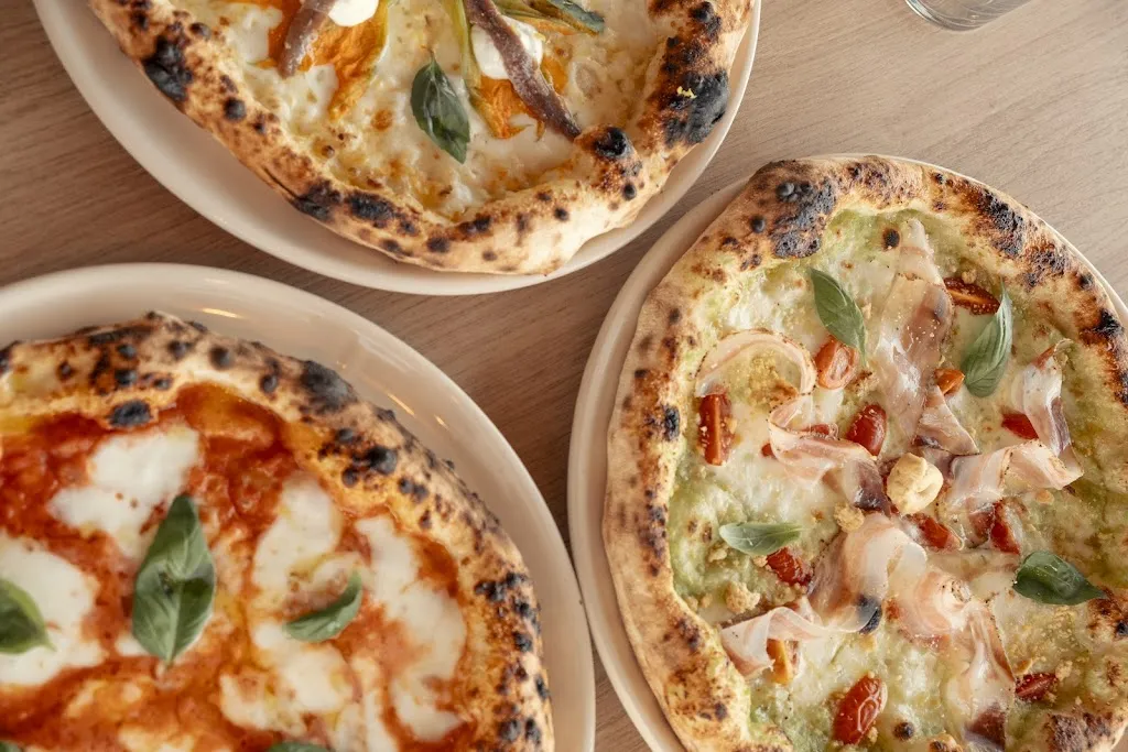 Palea_Andrano_slider_image_3