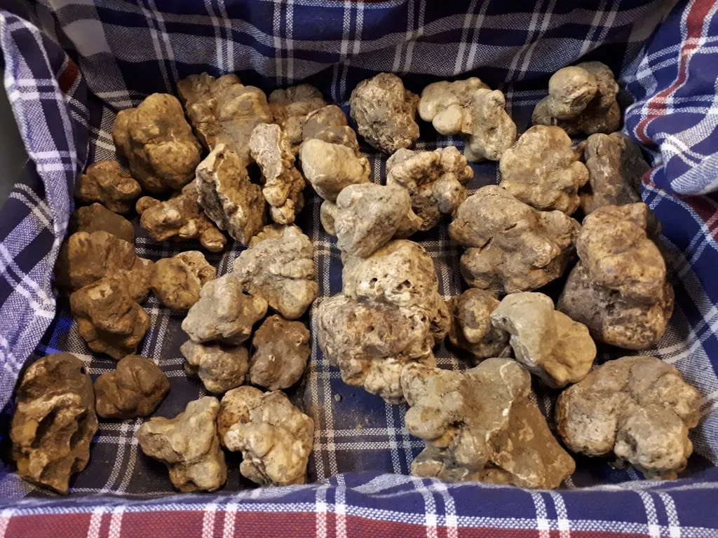 Trattoria del Vapore_Cernobbio_slider_image_3