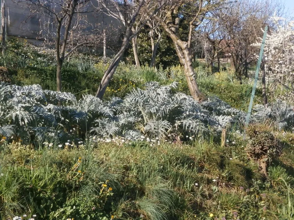 Agriturismo I Gelsi_Cernusco Lombardone_slider_image_2