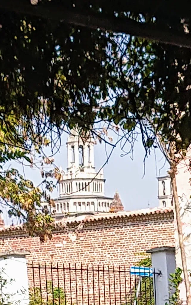 Stephen Johnston_Amare_Certosa di Pavia_review