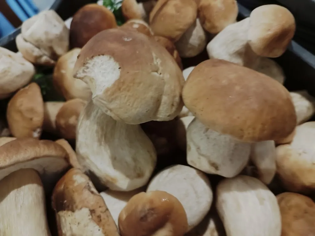 Menu_Ristorante Pizzeria Cambraia_Cesana Brianza_image_9